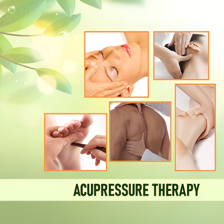 Spring Acupressure and Magnetic Therapy Yoga Paduka Slippers Foot Massager for Full Body Blood Circulation Slippers Foot Massager For Men and Women